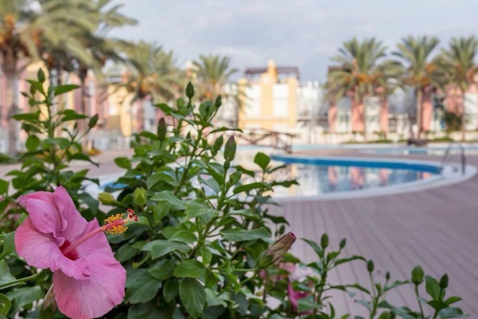 Atico Del Sol Laguna Beach Vera Playa Екстер'єр фото